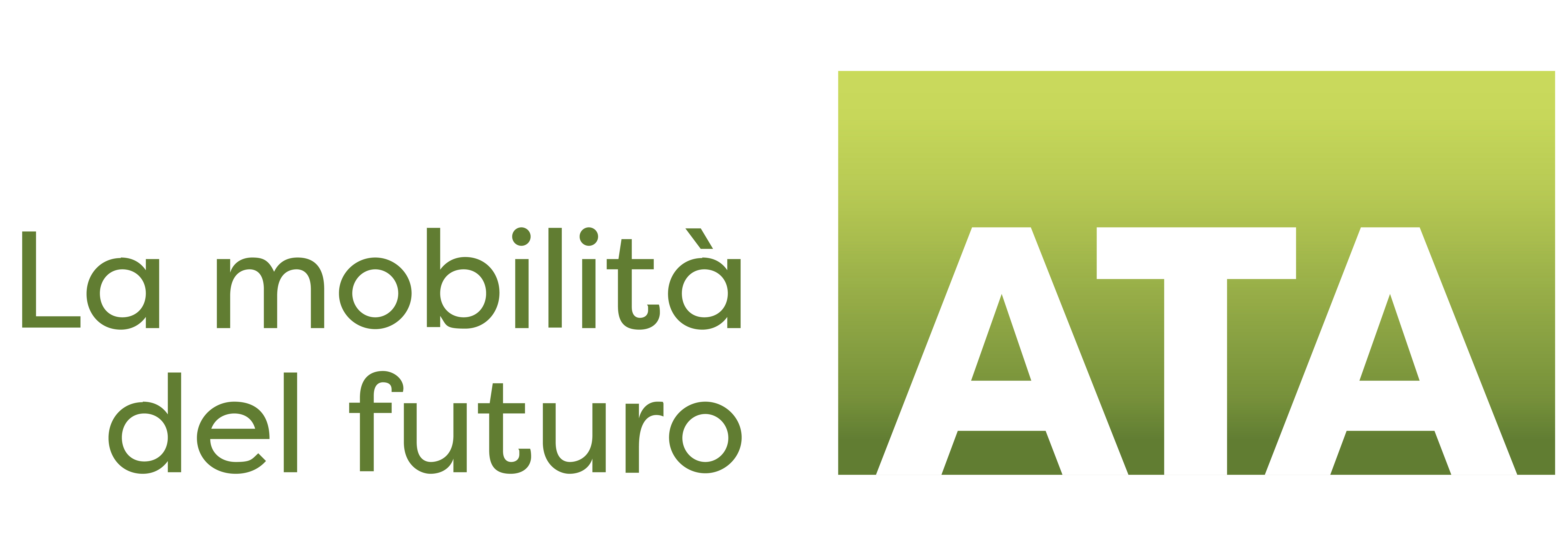 Gruppo direttivo - mobil sein & bleiben